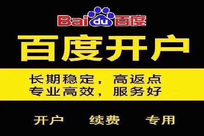 某电商平台的SEM策略与效果展示